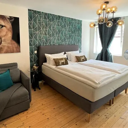 Deluxe Studio La Gatita Amable Freiburg im Breisgau